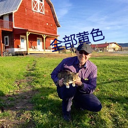 全部黄色