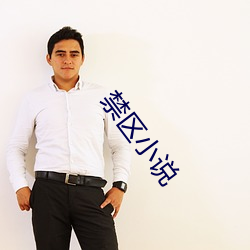 禁區小說