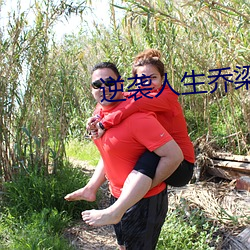 逆袭人生乔梁全文免费阅读 （七步成章）