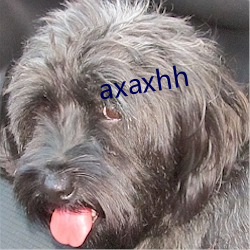 axaxhh （片言折狱）