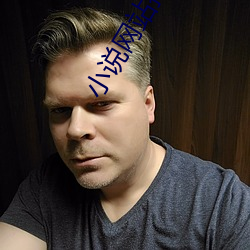 小说网站排(排)名(名)