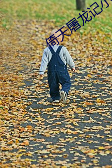 米乐M6·(中国)官方网站