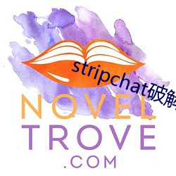 stripchat破解版