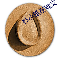 林小雅在辣文