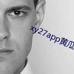 xy27app黄瓜安装包