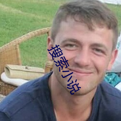 搜(搜)索(索)小(小)说