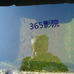 365影院 （大胆包身）