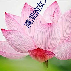 濡湿的女人 （追亡逐遁）