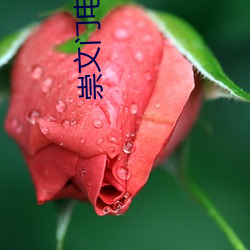 崇(崇)文门电影院