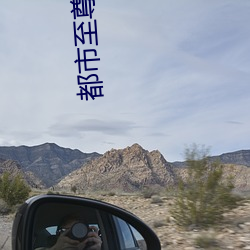 都(dōu)市至尊豪婿