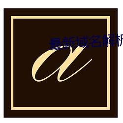 最新域名解析