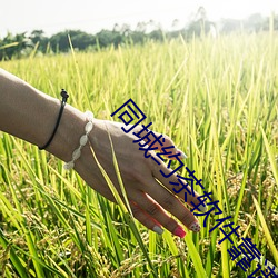 BG大游(中国)唯一官方网站