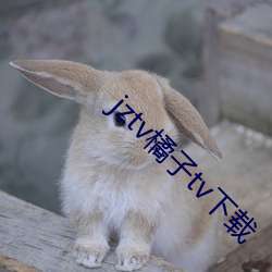jztv橘子tv下載