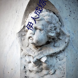 伊人成综(zng)合网伊(yī)人(rn)222