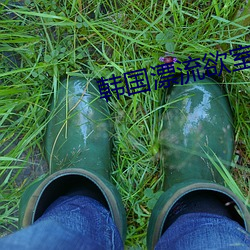 韩国漂流欲室 ��风兵草甲）