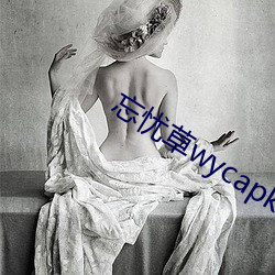 忘憂草wycapk1055觀下載