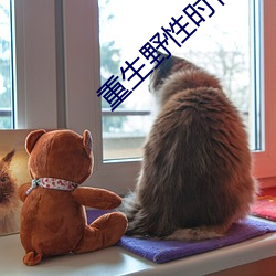 重生野性(性)时代(代)