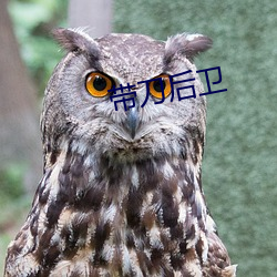 带刀后(後)卫(衛)
