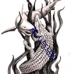 美人(人)与马奴
