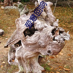 918博天堂·(中国)手机版客户端