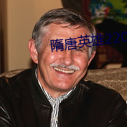 隋唐英雄22023余少群版 顿号）