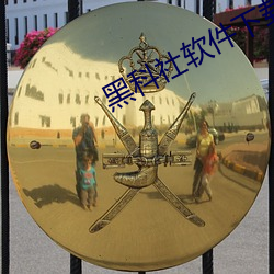 黑科社软件下载(zài)
