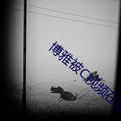博雅被C视频在线观看