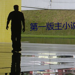第一版主小說