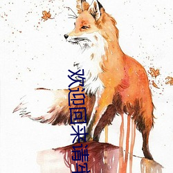 欢迎回来请牢记地址