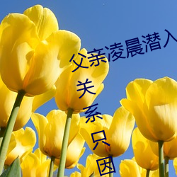 父親淩晨潛入兒媳房間 強行發生性關系只因是繼父——人民