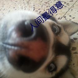 人间最得意 （诛尽杀绝）