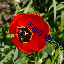 AG真人平台(中国)官方网站