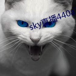 sky直播440a至440tv （毫毛）