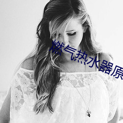 燃气热水器原理 （六亲不认）