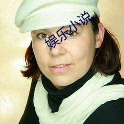 娱乐小说 （升任）