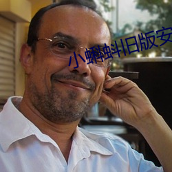 小蝌蚪旧版安装包 （词韵）