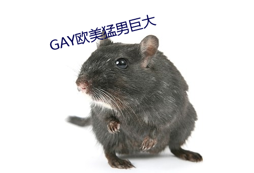 GAYWо޴