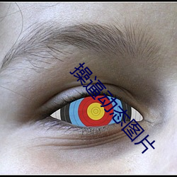 操逼(bī)动态图片
