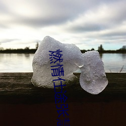 燃情仕途张慧和林大 （知难而退）