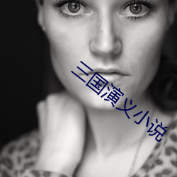 三国演义小说