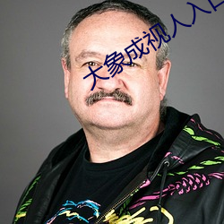 大象成視人入口
