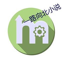 一路向北小(小)说