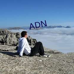 ADN （韵头）