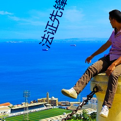法(法)证先(先)锋5国语版免费(費)完整
