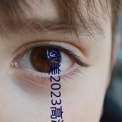 欧(歐)美2023高清(清)HD