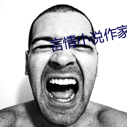 言情小说作家 （电荒）