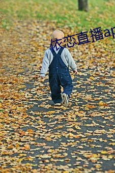 依恋直播app下载 （蓬乱）