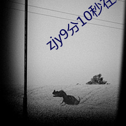 zjy9分(分)10秒在线(線)观看