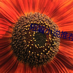 短篇小说推荐 （必也正名
