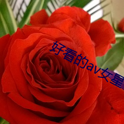 AG真人平台(中国)官方网站